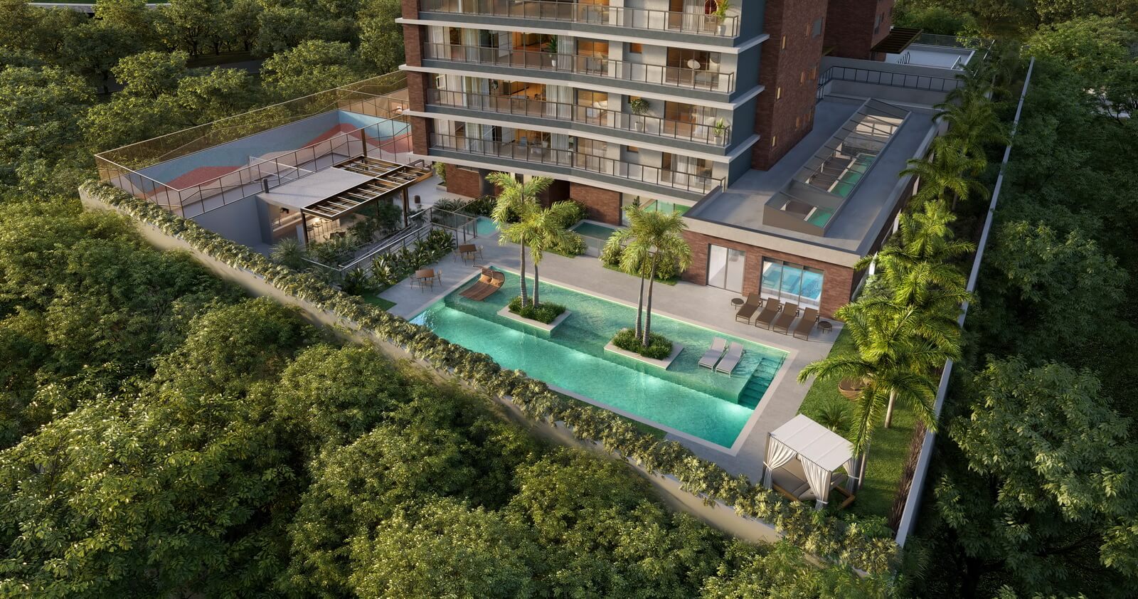 imgi_16_comuns_passaro